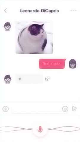 在线DDOS平台攻击软件程序维护界面